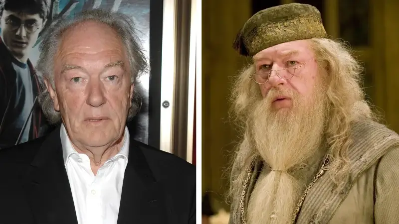 Michael Gambon