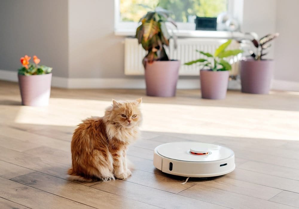 Įkurtuvių dovanos – modernios technologijos naujiems namams, robotas siurblys ir katė kambaryje