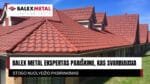 Stogo nuolydžio pasirinkimas. „Balex Metal“ ekspertas paaiškino, kas svarbiausia „Balex Metal“ ekspertas apie stogo nuolydžio pasirinkimą
